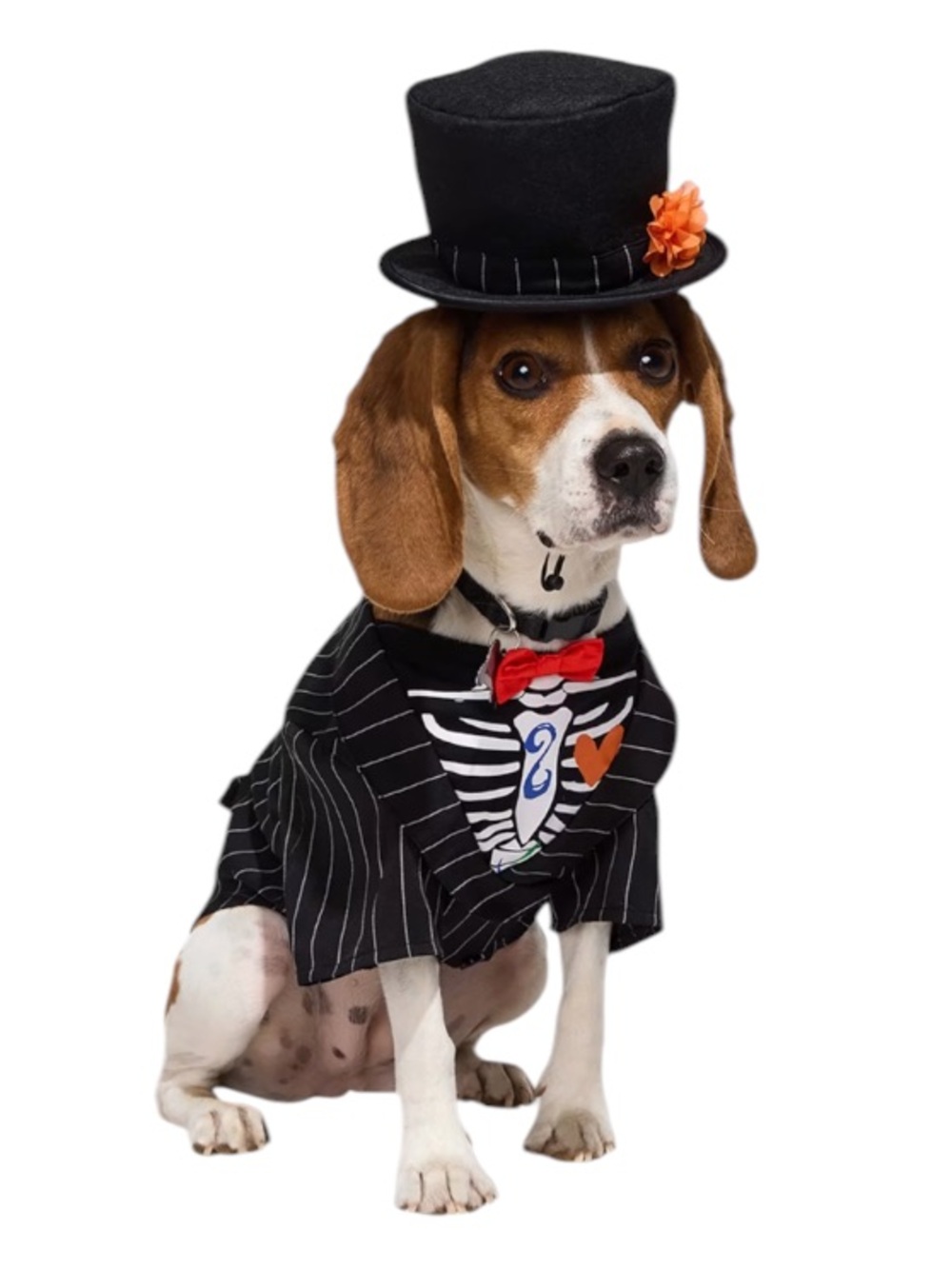 Day of the Dead Dog costume L